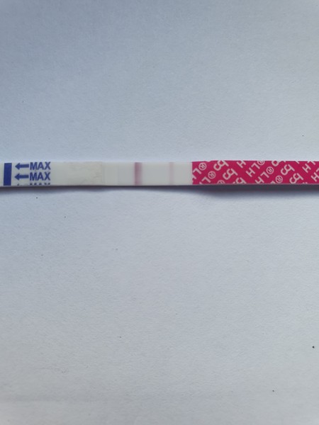 Support for Women who are TTC or Pregnant Following a Termination for Abnormalities- Thread 8