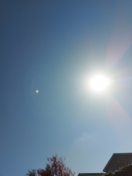 Unlocking Ireland - an unprecedented thread no. 6