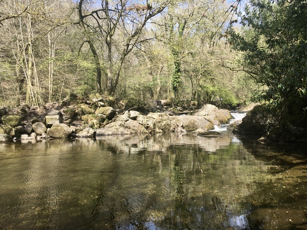 Any Witches Here? Part 14.