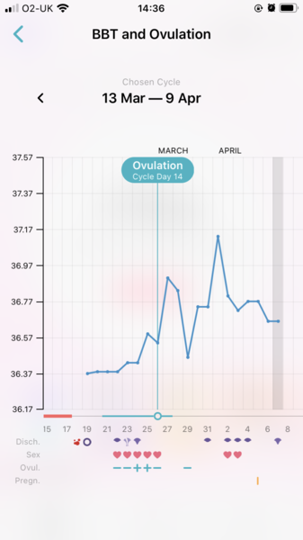 Entering the TWW with BBT charts