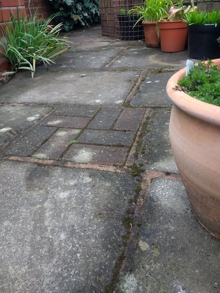 New patio - flags with mortar or sand?