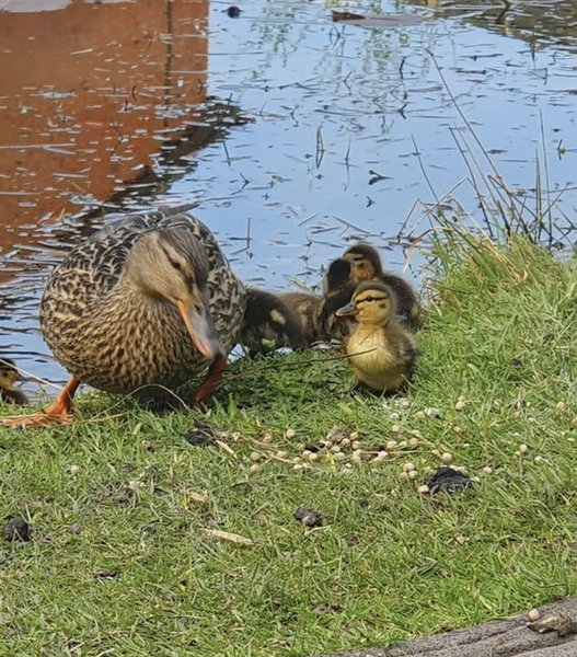 NOT what I expected to wake up to this morning...