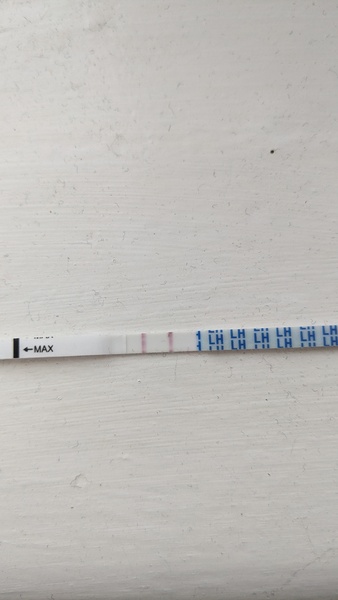 TTC March / April