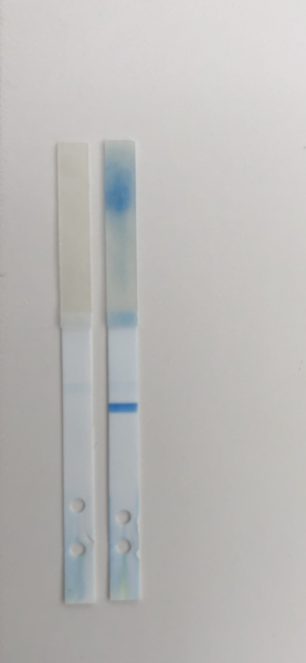 Inside a clearable digital test at 10 dpo