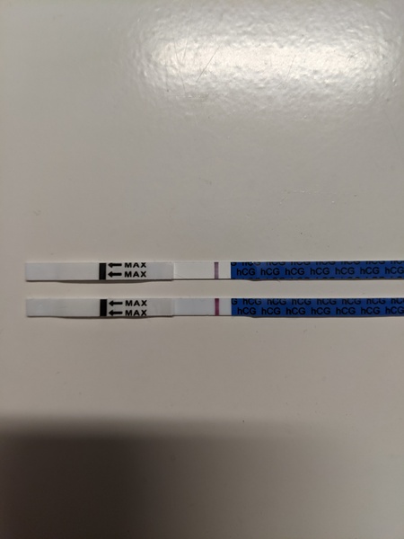 Feb Bus 2021 - no more TRYING to conceive, let's blimin do this!
