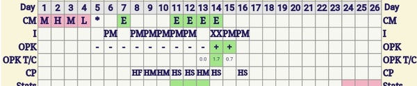 Recent MC - New cycles & trying again Thread 2