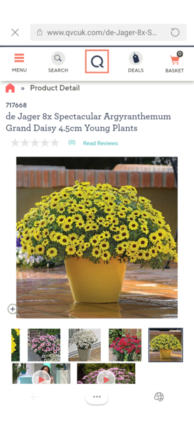 Total gardening novice - help with hanging baskets and bedding plants please?