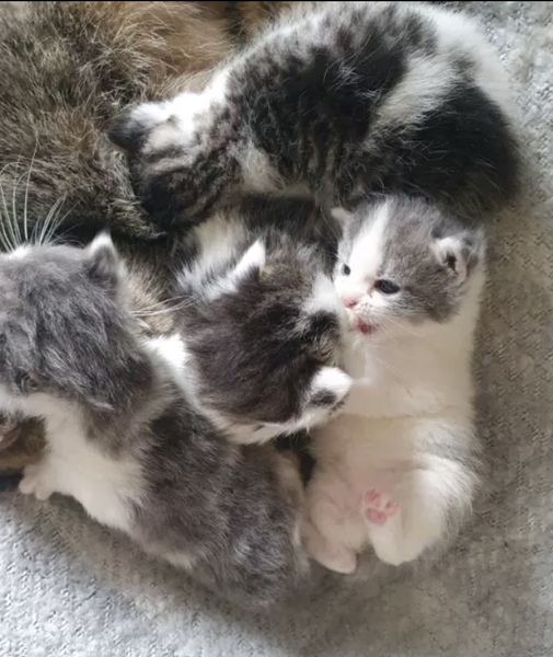 Help us choose a name!!