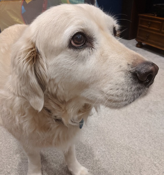 ADs drinking al fresco at The Sleeping Swans