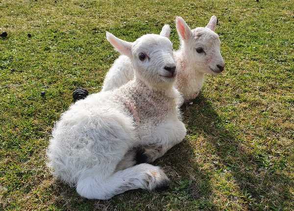 Week 2 - Leaving Lockdown Low Carb Bootcamp