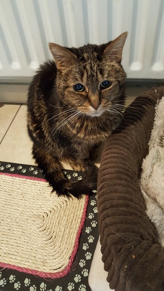 Week 2 - Leaving Lockdown Low Carb Bootcamp