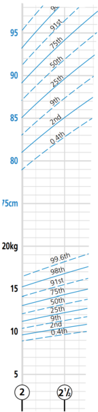 Worried my 2.5 year old is overweight?