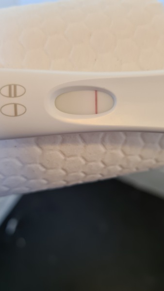 3DPO anyone want to TWW with me?