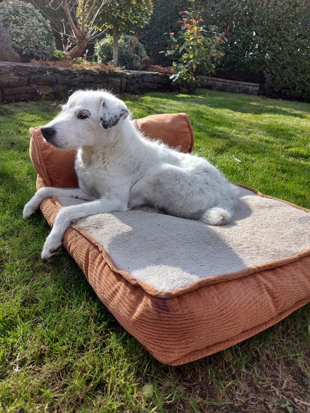 Week 2 - Leaving Lockdown Low Carb Bootcamp