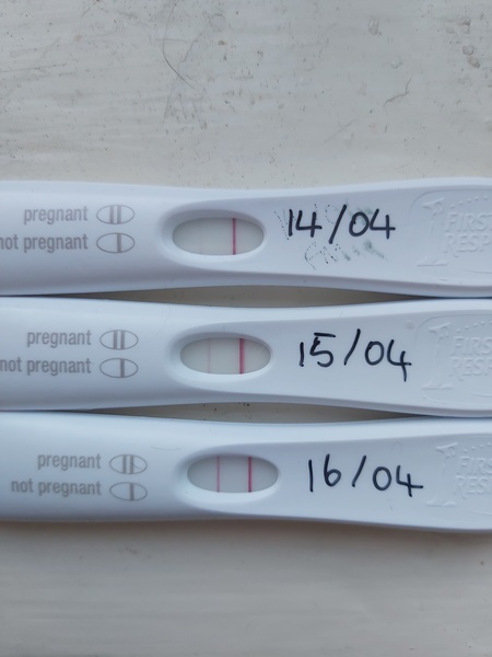 Due December 2021! Thread 2