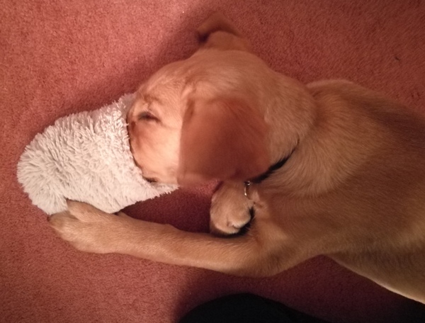 Week 3 - Leaving Lockdown Bootcamp