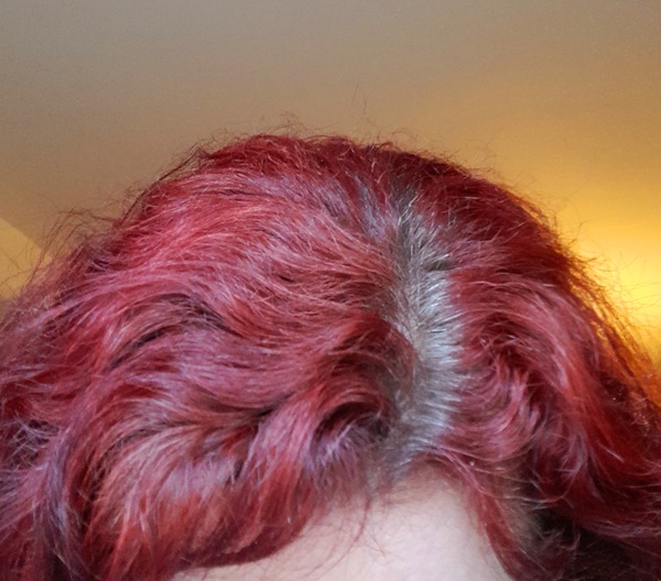 April Leaving Lockdown Low Carb Bootcamp - week 1