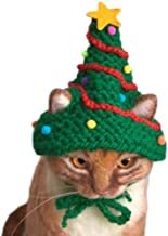 Cat chat thread the umpteenth - the Café is open all welcome