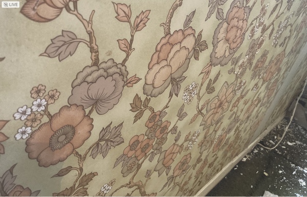 Interesting things you've uncovered when redecorating