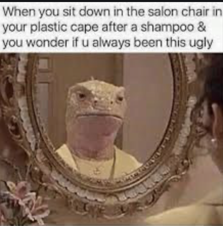 Do you ever actually like your hair after you have been to the hairdresser?