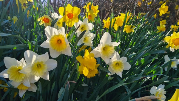 Week 2 - Leaving Lockdown Low Carb Bootcamp