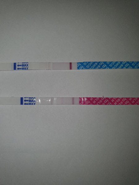 Support for Women who are TTC or Pregnant Following a Termination for Abnormalities- Thread 8