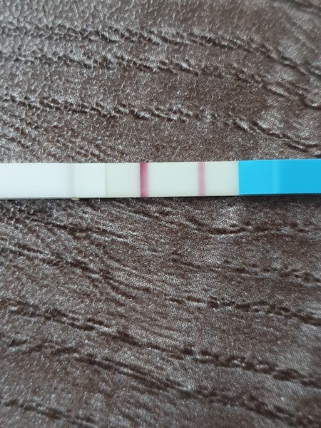Ovulation test week after CP