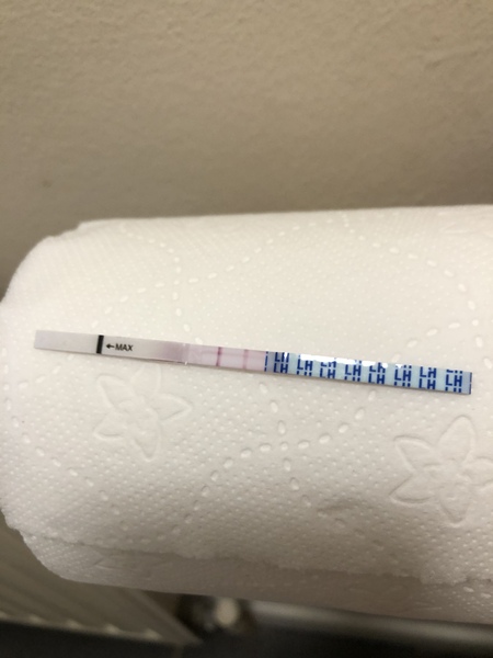 TTC after miscarriage