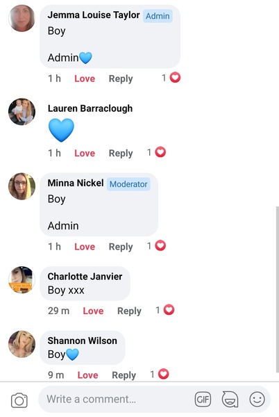 Gender Guesses 13+4
