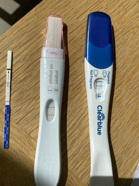 IVF - Feb/March - continued