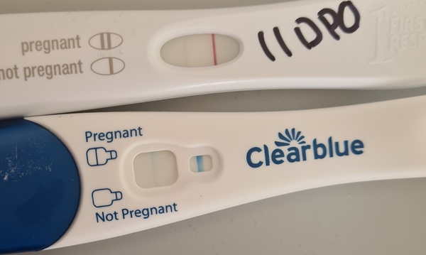 Am I pregnant