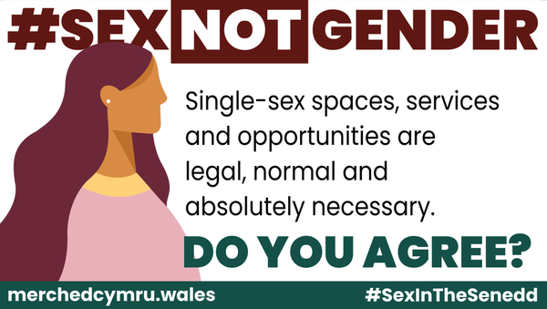 #SexInTheSenedd (Election special!)