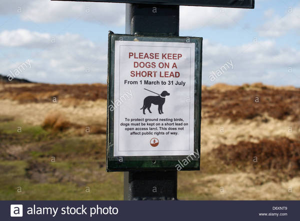 Told by the farmer to keep dog on a lead?