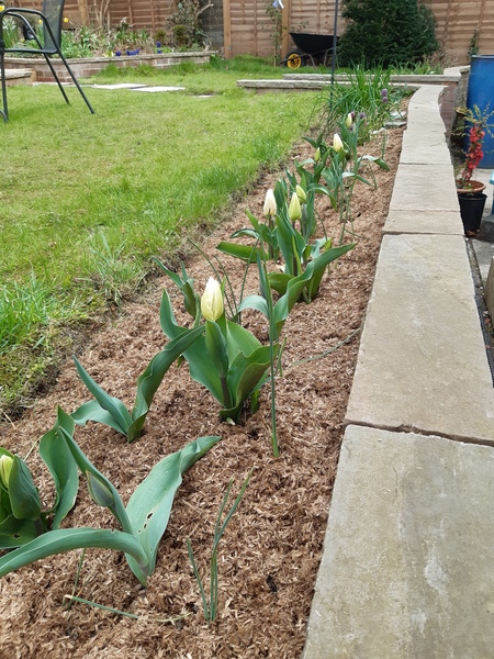Gardening chat
