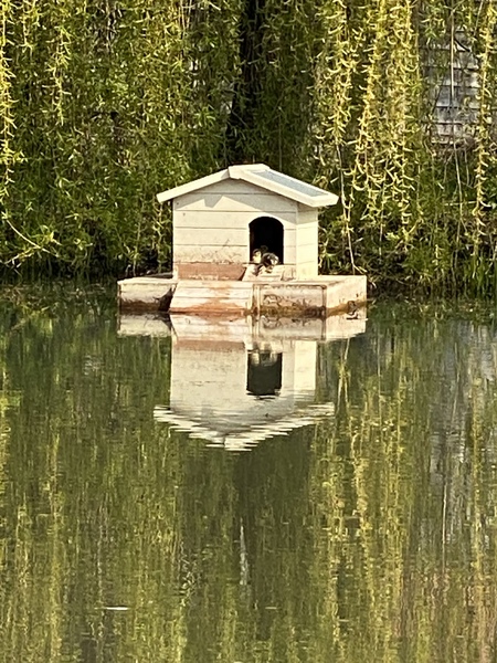 NOT what I expected to wake up to this morning...