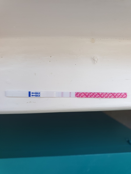 Advice - weird opk pattern and no ovulation