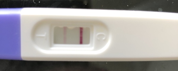 Am I pregnant pregnant?
