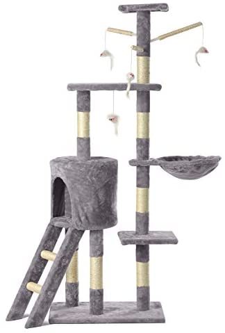 Looking for sturdy cat tree