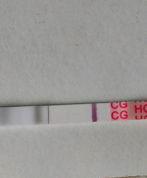 Pregnancy test