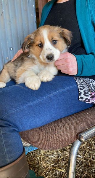 Name ideas?