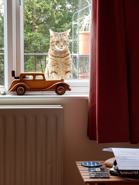 Thug cat part 3.  Unbidden guests are often welcomest when they are gone.