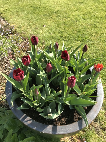 Week 2 - Leaving Lockdown Low Carb Bootcamp