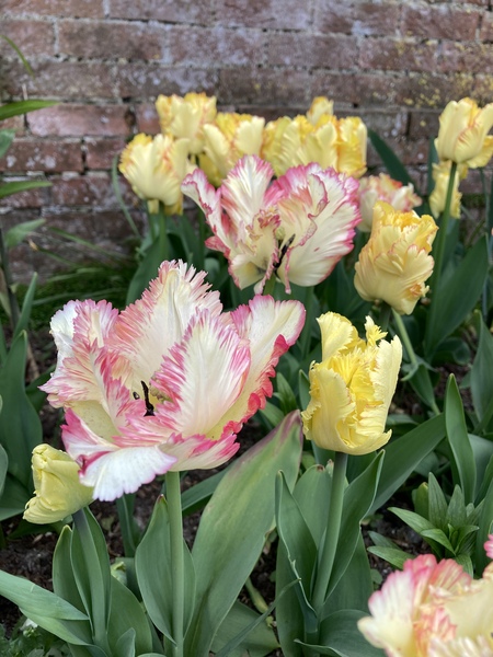 Week 3 - Leaving Lockdown Bootcamp