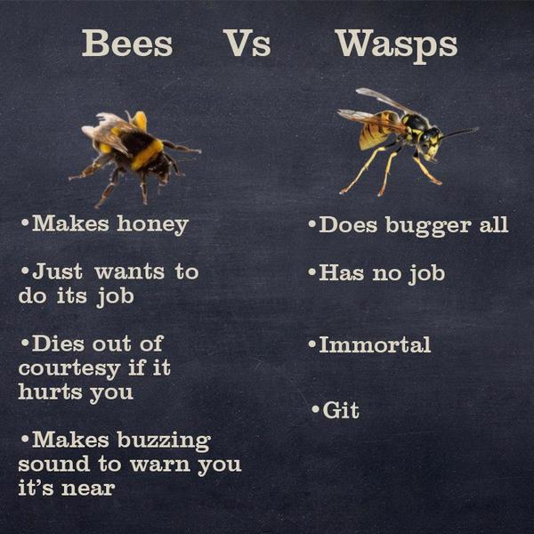 Name one thing that's the bane of your life