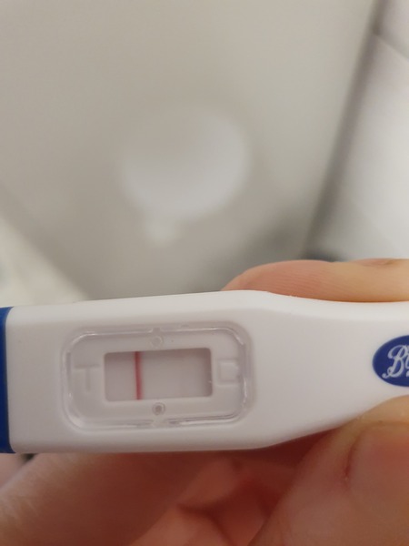 Due December 2021! Thread 2