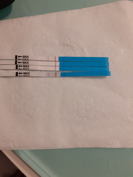Have I missed the surge? Is ovulation over?