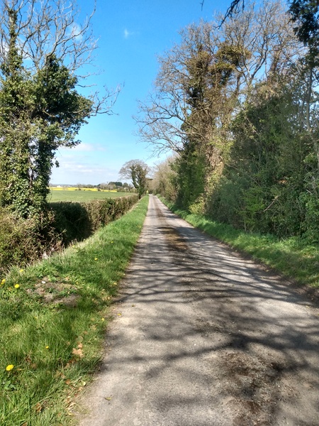 Run / Walk / Swim / Cycle 1000km / miles in 2021 here we go again!
