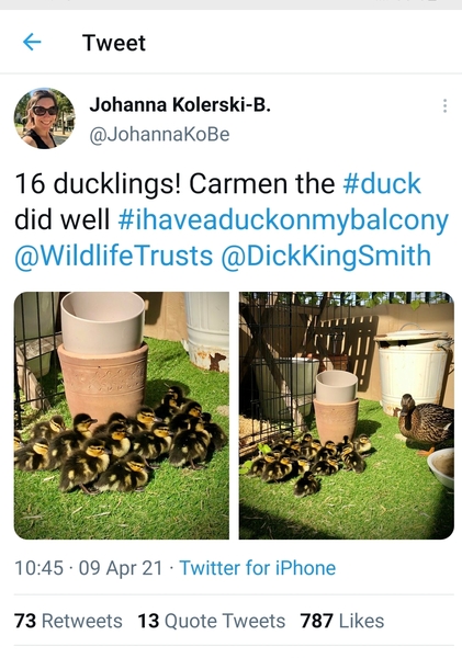 NOT what I expected to wake up to this morning...