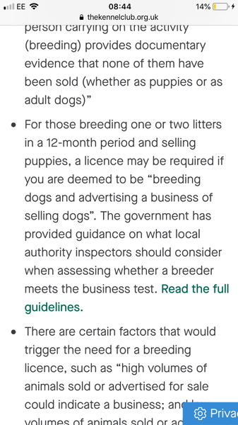 What to know when buying a dog