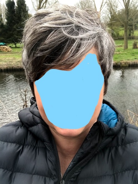 Has anyone grown out the grey and then gone back to dyeing?